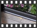 水性カラーフローリング用ニスの塗り方