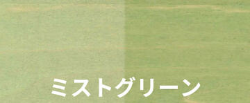ミストグリーン